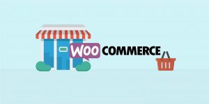 thu thuat tien ich woocommerce